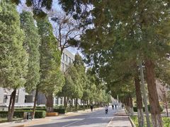 -雕刻时光咖啡馆(北师大店)
