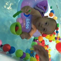 鱼乐贝贝婴幼儿水育馆(紫成嘉园店)-鱼乐贝贝婴幼儿童水育中心(紫成嘉园店)