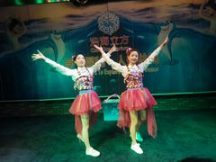 -成都浩海立方海洋公园