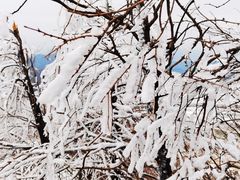 -东白山