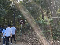 -紫金山山顶公园