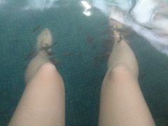 -金孔雀温泉旅游度假村