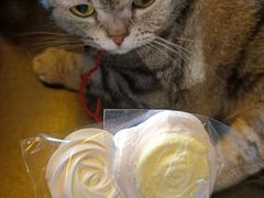 -大商超市(银岛店)