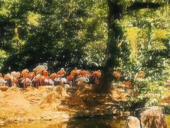 -上海市虹口区图书馆(曲阳分馆)