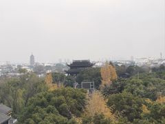 -顽啤熊·酒客酒馆(苏城夜景必选店)