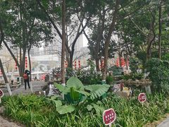 -成都市活水公园