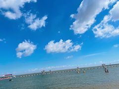 -碧海金沙