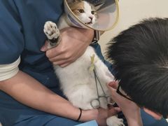 -美迦爱-牙专科·兔科·骨科诊疗中心(北苑店)