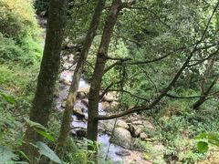-苍山感通索道