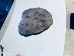 -揽季锅物会.福建黄鱼.海鲜姿造(五四路店)