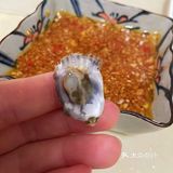 每日小食—生蚝