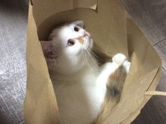 -美联众合24小时·皮肤科·外科·全科诊疗中心(华苑分院)