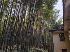 -缙云山景区