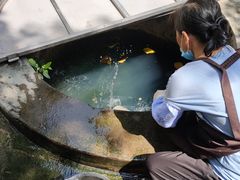 -水井拉粉油条(赤坎民国风情街店)