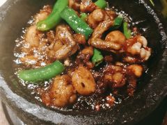 -桂满陇天书(南京德基旗舰店)