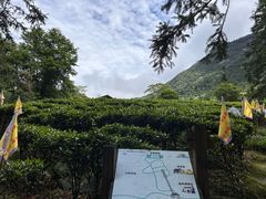-姑婆山旅游区