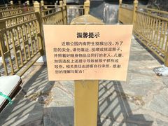 -周口店北京人遗址公园