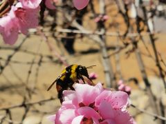 -丽江泸沽湖景区