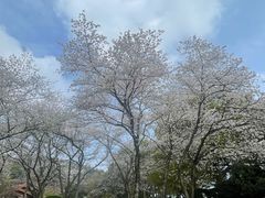 -中国茶叶博物馆(双峰馆区)