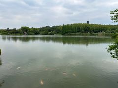 -宜兴龙背山森林公园