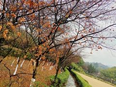-白马涧龙池景区