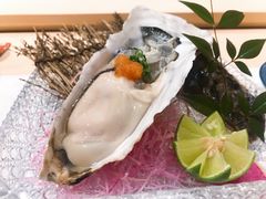 生蚝-鮨一日本料理(大中华店)