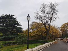 -八大关景区