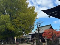 -医王山·飞騨国分寺