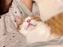 -北京赛佳动物医院