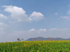 -苏州吴中太湖旅游区