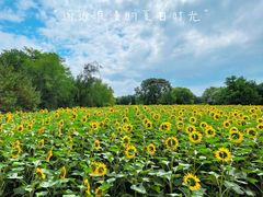 -北京奥林匹克公园