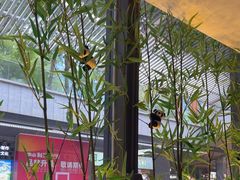 -蓉城小馆(科兴店)