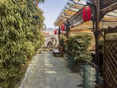 -慢丽江·云南野生菌土鸡锅(付家庄店)