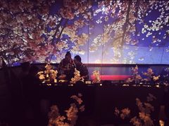 樱花冰激凌-地球美食剧场