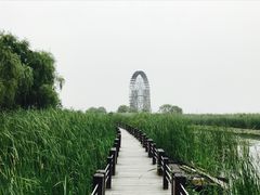 -太湖湖滨国家湿地公园-停车场