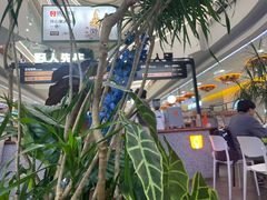 -野人先生Gelato(上海长宁龙之梦店)