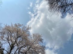 -山沟沟景区