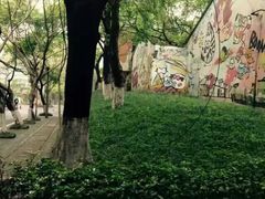 -黄桷坪涂鸦艺术街