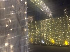 -蔓兰家的四季S0餐厅·融合菜(当代MOMA店)