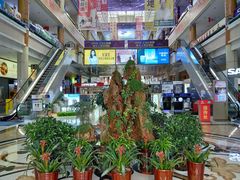 一楼大厅-月星国际家居广场(南滨河中路店)