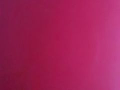 -十六蒲(桂林路店)