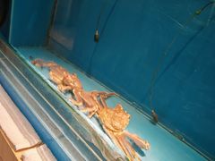 -锅物新语&寿喜烧.炉端割烹(世博源店)