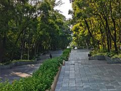 -深圳国际园林花卉博览园