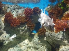 -福州罗源湾海洋世界旅游区