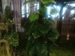 -金源温泉休闲会馆