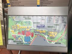 -香港大学
