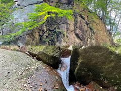 -五女峰国家森林公园