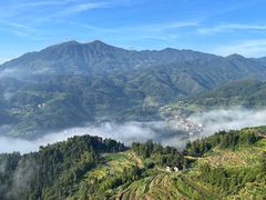 -紫鹊界梯田景区