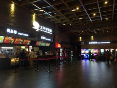 -太平洋影城(深圳8号仓店)