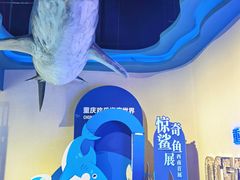 -重庆欢乐海底世界